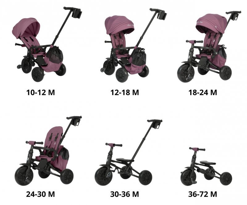 Qplay Rowerek Trójkołowy Nova Max Violet