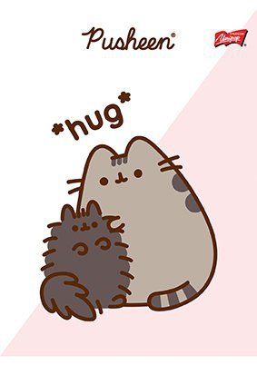 Zeszyt w trzy linie  32 kartkowy Kotek Pusheen The Cat