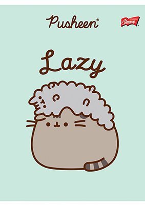 Zeszyt w trzy linie  32 kartkowy Kotek Pusheen The Cat